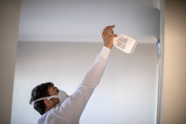 Best Same-Day Mold Removal  in Worthington, KY