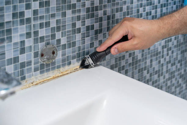 Best Mold Testing  in Worthington, KY