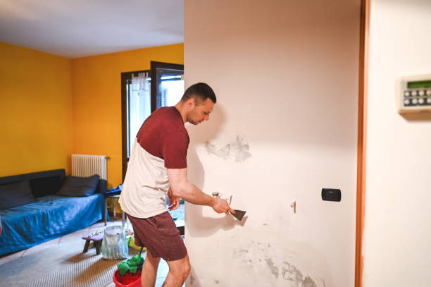 Best Local Mold Removal Service  in Worthington, KY