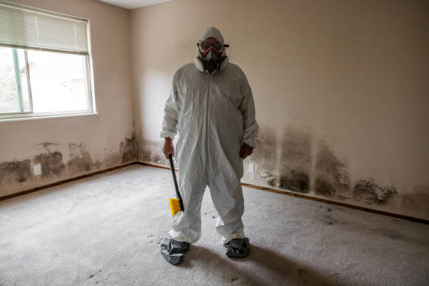 Best Best Mold Removal Companies  in Worthington, KY